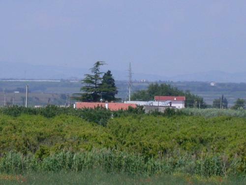 Apartamento Casa Vacanze Bio Mele