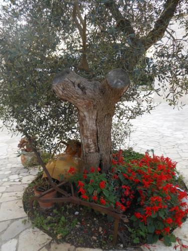 Agli Antichi Trulli B&B In Masseria