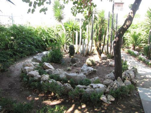 B&B Solacium