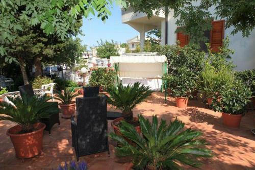 B&B Solacium