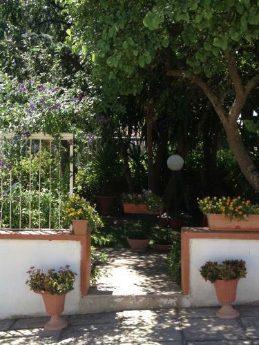 B&B Solacium