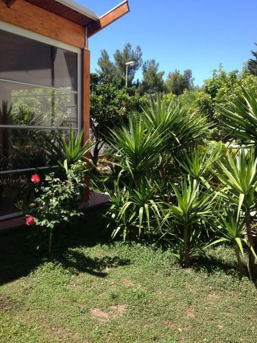 B&B Solacium