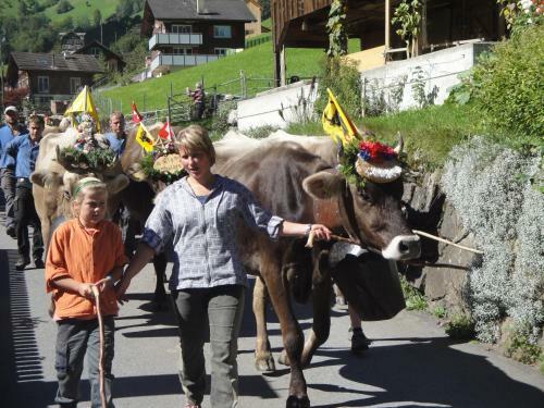 Hotel Urirotstock
