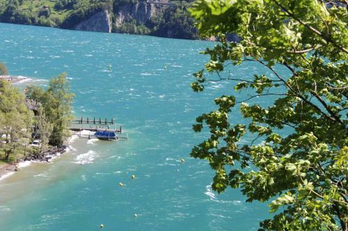 Hotel Urirotstock