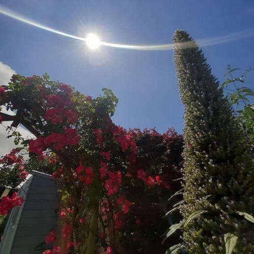 Bed & Breakfast Coastguard Cottage Newquay