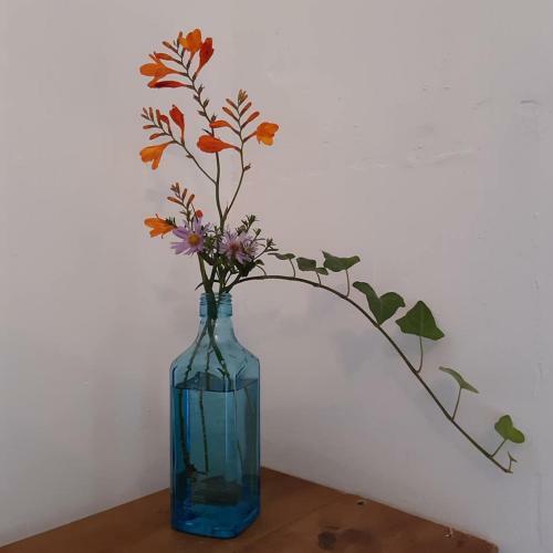 Bed & Breakfast Coastguard Cottage Newquay