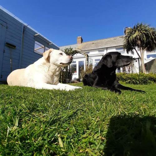 Bed & Breakfast Coastguard Cottage Newquay