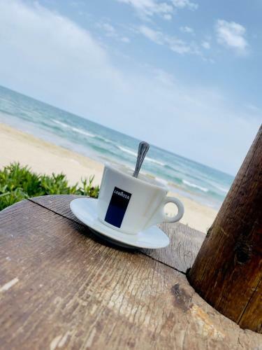 Apartamento Piso En La Playa