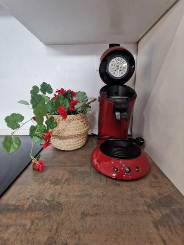 Apartamento Le Cozy Des Minimes, Hyper Centre Epinal
