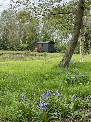 Lodge Heywood Glamping