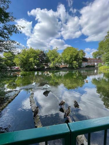 Immaculate 1-bed Apartment In Orpington