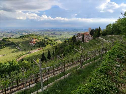 Hostal Il Glicine Rosa