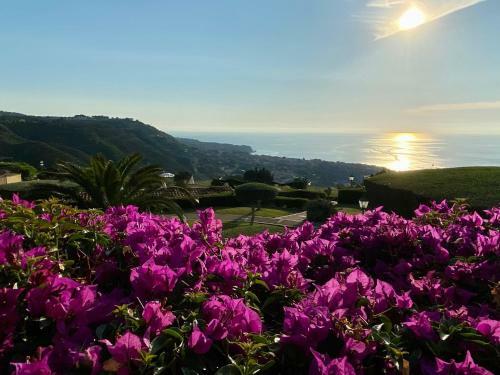 Apartamento Il Giardino Su Tropea - A Garden Overlooking Tropea