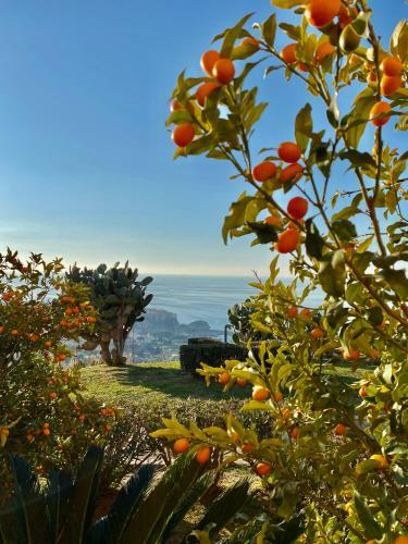 Apartamento Il Giardino Su Tropea - A Garden Overlooking Tropea