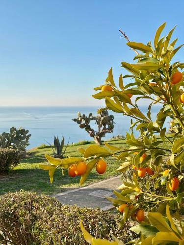 Apartamento Il Giardino Su Tropea - A Garden Overlooking Tropea