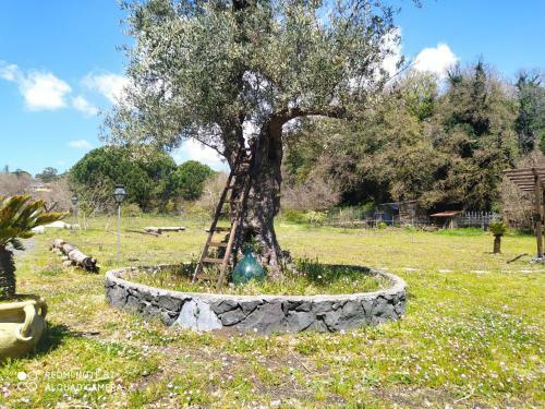 Hostal Antico Palmento Dell'etna