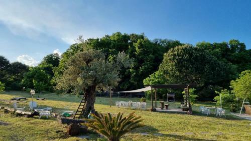 Hostal Antico Palmento Dell'etna