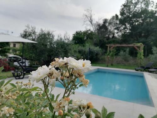 B&B Coldifiore