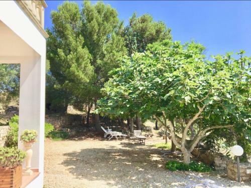 Apartamento Villa Orlando