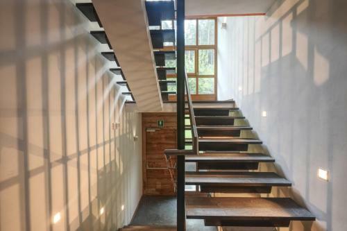 Hostal Exzelent Berna Mountain Residence
