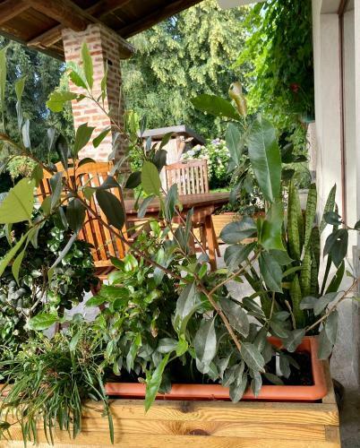 Apartamento Villa Giulia - Bisalta