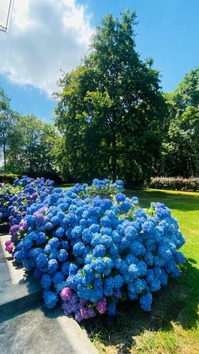 Apartamento Villa Giulia - Bisalta