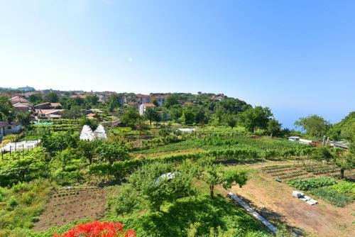 Apartamento La Terrazza Sugli Dei
