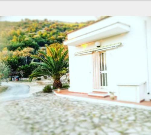 Apartamento Casa Vacanze Da Grazia Peschici