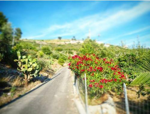 Apartamento Casa Vacanze Da Grazia Peschici
