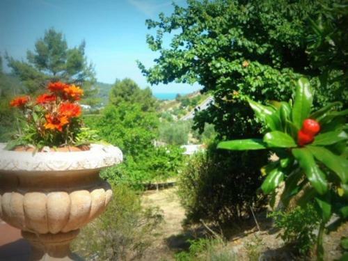 Apartamento Casa Vacanze Da Grazia Peschici