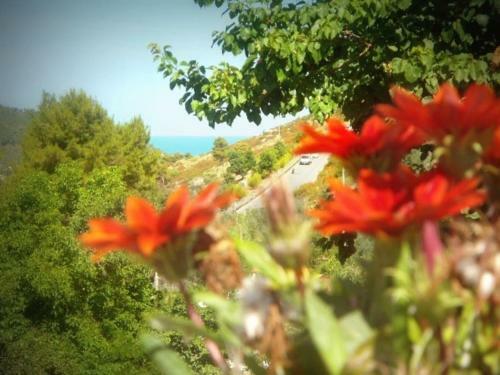 Apartamento Casa Vacanze Da Grazia Peschici