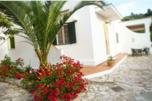 Apartamento Casa Vacanze Da Grazia Peschici