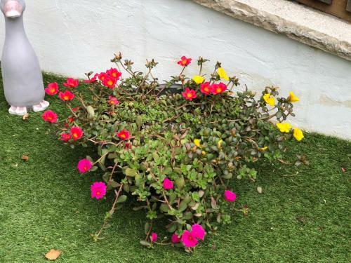 Bed & Breakfast B & B Al Remo'n