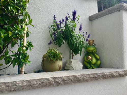 Bed & Breakfast B & B Al Remo'n