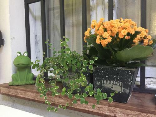 Bed & Breakfast B & B Al Remo'n