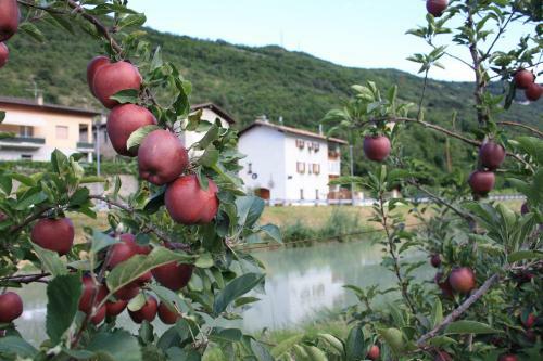 Bed & Breakfast B & B Al Remo'n