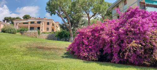Apartamento Appartamento Nuccia