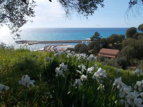 Apartamento Il Geranio