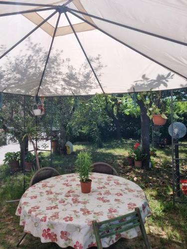 Apartamento Appartamento Via Loreto