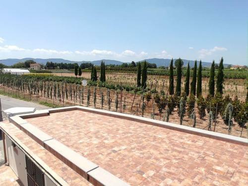 Hostal Affittacamere Villa Mary