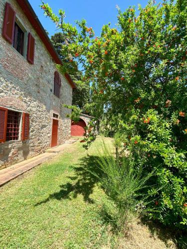 Villa Podere Del Boscaccio