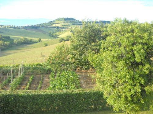 B&B Campodisole
