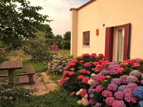 Agroturismo Agriturismo Il Magicorto
