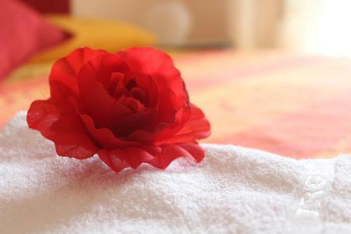 B&B Colle Sul Mare