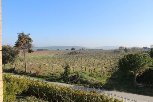 B&B Colle Sul Mare