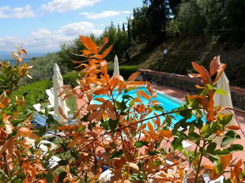 Bed & Breakfast Amoliv
