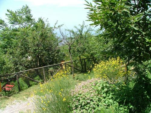 Agroturismo Agriturismo La Ginestra