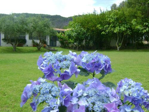Giacaranda B&B