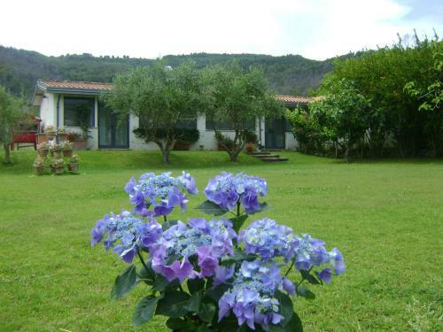 Giacaranda B&B