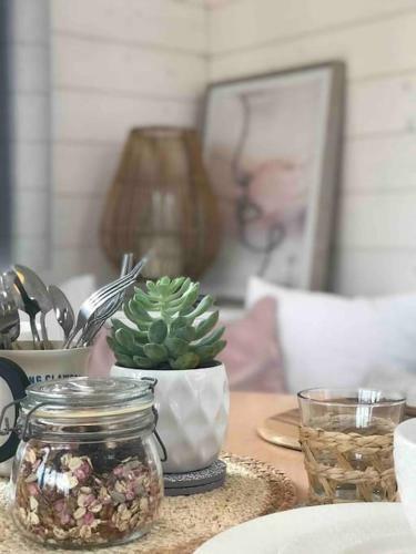 Anglesey Scandi Cabin